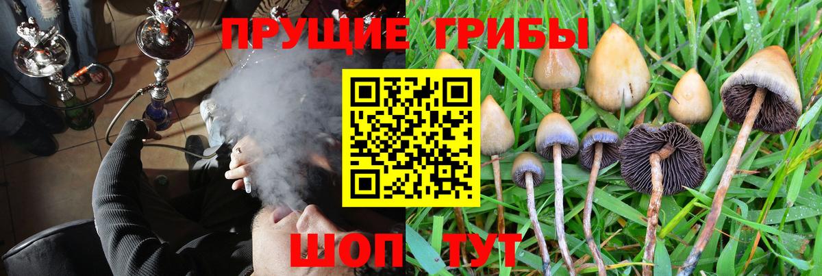 цены   Вход с VPN  Лысьва  Псилоцибиновые грибы GOLDEN TEACHER 